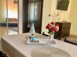 Apartament Terra II
