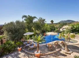 Quiet Villa in Buger with amazing pool, paddle court and nice garden