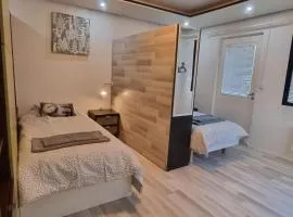 House for 4 person near Meyer Turku