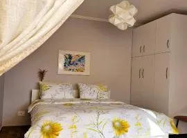 Nuçi's Place, lovely apt with balcony near Blloku