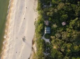 Kactus - Your Island Sanctuary