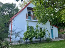 Quiet, green, relaxing place- 3 bedroom villa, cabaña en Balatonfüred