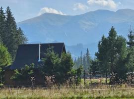 Domek drewniany Szafran, vikendica u gradu Vitov