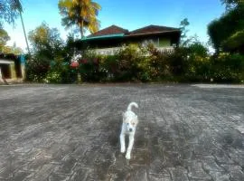 Choorimotte Homestay