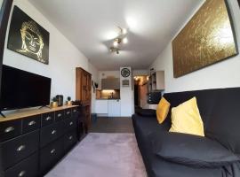 Appartement vue panoramique au pied des pistes, готель у місті La Ferrière