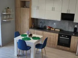 Apartament Pod Klonem