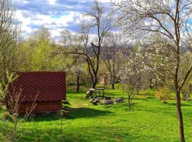 Friendship Cabin (Friendship Land), hotel económico 