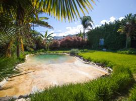 Espacio Antares, holiday home in Icod de los Vinos