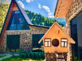 Cottage Orcs, villa in Bordzjomi