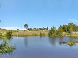 Noble Willow Studio Lovedale. A Cosy Unique Wine Country Refuge