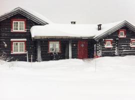 Lovely Home In Sjusjen With Kitchen: Mesnali şehrinde bir kayak merkezi