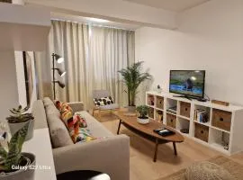 City Center Apartment