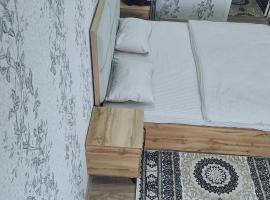 Royal apartment 1, cheap hotel in Dushanbe