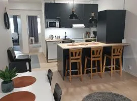 2BR Apartment, free parking - Peikontie