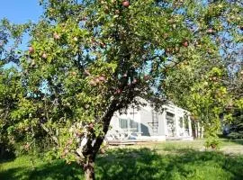 Mini house Imatra with own garden