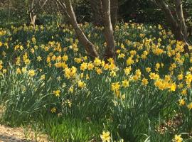 Amaroo Guesthouse, affittacamere a Mount Wilson