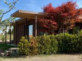 Ahornlounge Faoug am Murtensee