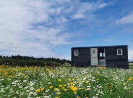 Barley Shepherd Hut - Snettisham Meadows, càmping a Kings Lynn