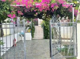 σπίτι - αγρόκτημα - Δ Γεωργά Χατζηράση οδός Χατζηράση