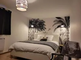 Le cours Donville, appart neuf à 100m de la mer