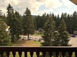 Zlatarska Studenica