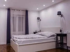 White Apartment in center of Katowice