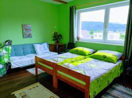 Apartmán ANSAT Opatovská 20, cheap hotel in Trenčín