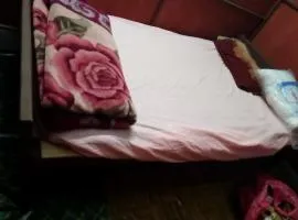 Return to nature homestay