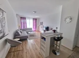 Flat Rafailovic One minute to Beach