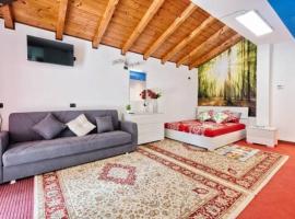 Jolly Private Room With Bathroom, guest house in Marghera