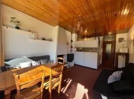 Appartement lumineux sur piste avec balcon sud - FR-1-165A-182