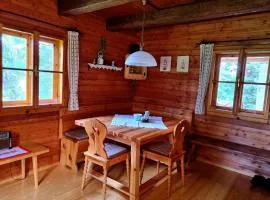 Almhütte in Murau nahe Skipiste