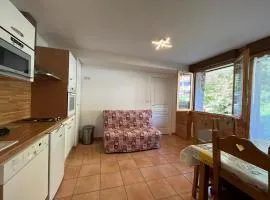Charmant appartement à Pra-Loup avec terrasse, parking, et accès facile aux pistes - FR-1-165A-65