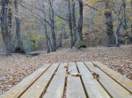 La Slitta, bed and breakfast a Roure Turin