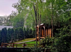 Tiny House 4 Two, holiday home in Văliug