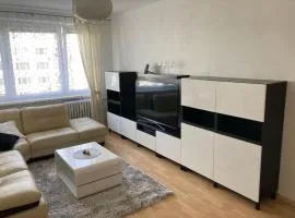 2 rooms apartment with balcony