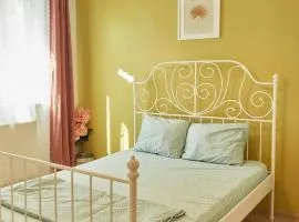 City Park Apartament 3 Camere Constanta