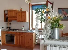 Grazioso bilocale Merlino, luminoso con vista Santuario, wifi