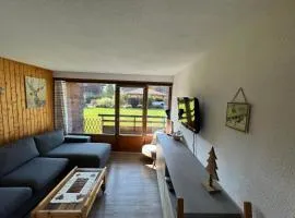 Morzine, Belle vue, Propre et au calme - proche activités- montagne