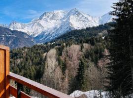 Appartement montagnard avec vue sur le Mont-Blanc, hotel en Saint-Gervais-les-Bains