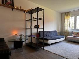 Spacious apartment, apartemen di Zurich
