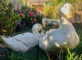 Duck terrace, hotel with parking in Kibworth Harcourt