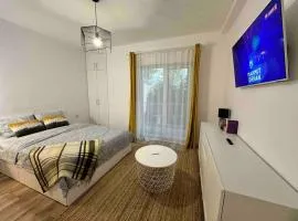 Your condo in Timisoara. Reeas Apart. with pool