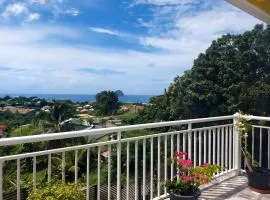 Maison d'une chambre avec vue sur la mer jardin clos et wifi a Le Diamant a 1 km de la plage