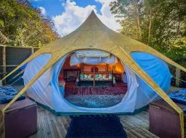 Te Tiro Accommodation、ワイトモ・ケーブスのグランピング施設
