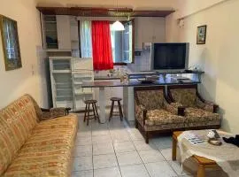 Villa Dimitris near the beach!