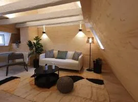 Les appartements Hyper centre