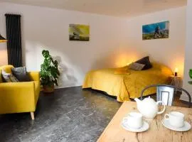 Sharp Tor Riverside Studio Apartment