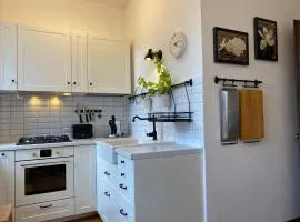 Spacious Old Town Apt, 3 Private Rooms, Sleeps 6-7
