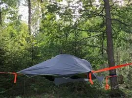 Tree-tent overlooking lake in private woodland